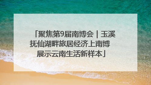 聚焦第9届南博会｜玉溪抚仙湖畔旅居经济上南博 展示云南生活新样本