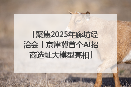 聚焦2025年廊坊经洽会丨京津冀首个AI招商选址大模型亮相