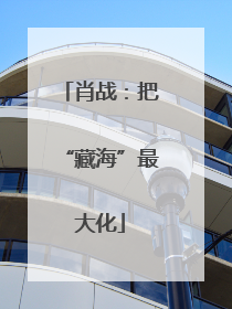 肖战：把“藏海”最大化