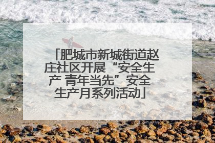 肥城市新城街道赵庄社区开展“安全生产 青年当先”安全生产月系列活动