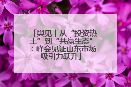 舆见丨从“投资热土”到“共赢生态”：峰会见证山东市场吸引力跃升