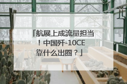 航展上成流量担当！中国歼-10CE靠什么出圈？