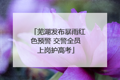 芜湖发布暴雨红色预警 交警全员上岗护高考