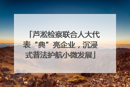 芦淞检察联合人大代表“典”亮企业，沉浸式普法护航小微发展