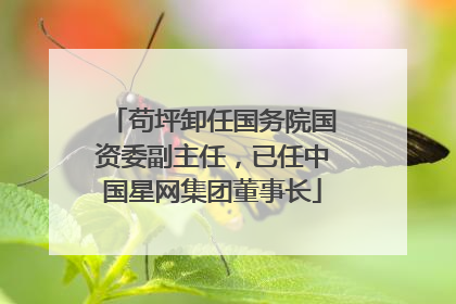 苟坪卸任国务院国资委副主任，已任中国星网集团董事长