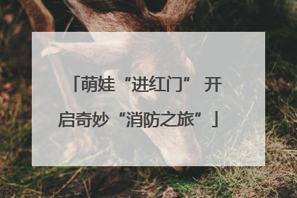 萌娃“进红门” 开启奇妙“消防之旅”