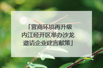 营商环境再升级 内江经开区举办沙龙邀请企业建言献策