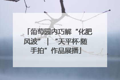 葡萄园内巧解“化肥风波”｜“天平杯·随手拍”作品展播