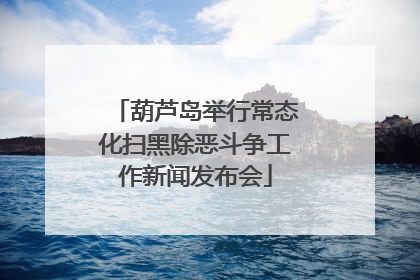 葫芦岛举行常态化扫黑除恶斗争工作新闻发布会