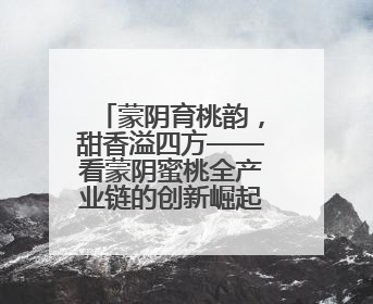 蒙阴育桃韵，甜香溢四方——看蒙阴蜜桃全产业链的创新崛起之路