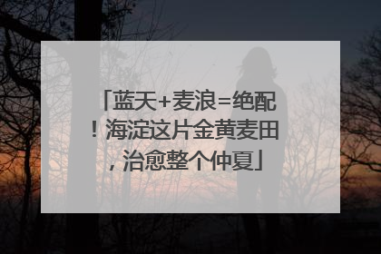 蓝天+麦浪=绝配！海淀这片金黄麦田，治愈整个仲夏