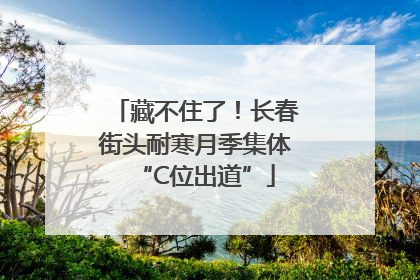藏不住了！长春街头耐寒月季集体“C位出道”