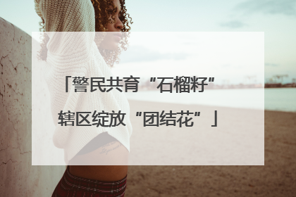 警民共育“石榴籽” 辖区绽放“团结花”