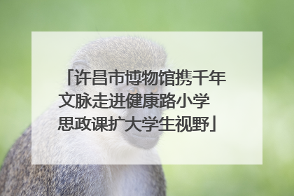 许昌市博物馆携千年文脉走进健康路小学 思政课扩大学生视野