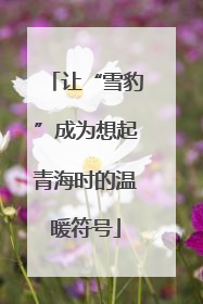 让“雪豹”成为想起青海时的温暖符号