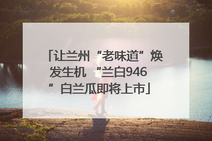 让兰州“老味道”焕发生机 “兰白946”白兰瓜即将上市