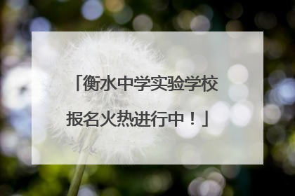 衡水中学实验学校报名火热进行中！