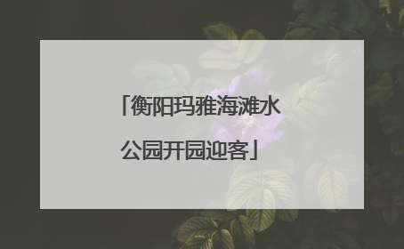 衡阳玛雅海滩水公园开园迎客
