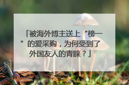 被海外博主送上“榜一”的爱采购，为何受到了外国友人的青睐？