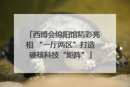 西博会绵阳馆精彩亮相 “一厅两区”打造硬核科技“矩阵”
