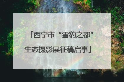 西宁市“雪豹之都”生态摄影展征稿启事