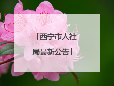 西宁市人社局最新公告