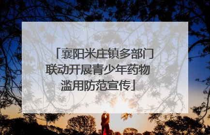 襄阳米庄镇多部门联动开展青少年药物滥用防范宣传