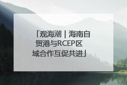 观海潮｜海南自贸港与RCEP区域合作互促共进
