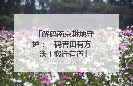 解码南京耕地守护：一码管田有方 沃土搬迁有道