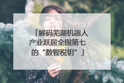 解码芜湖机器人产业跃居全国第七的“数智税钥”