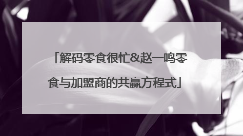 解码零食很忙&赵一鸣零食与加盟商的共赢方程式