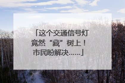这个交通信号灯竟然“藏”树上！市民盼解决……