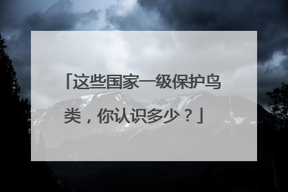 这些国家一级保护鸟类，你认识多少？
