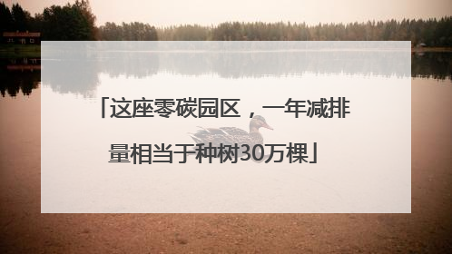 这座零碳园区，一年减排量相当于种树30万棵