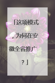 这项模式，为何在安徽全省推广？