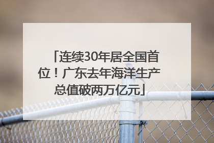 连续30年居全国首位！广东去年海洋生产总值破两万亿元