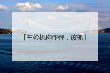 车检机构作弊，该抓