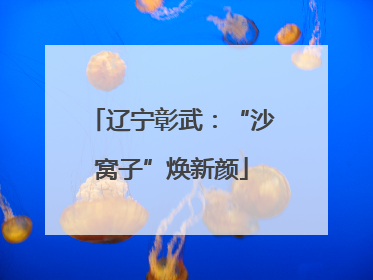 辽宁彰武：“沙窝子”焕新颜