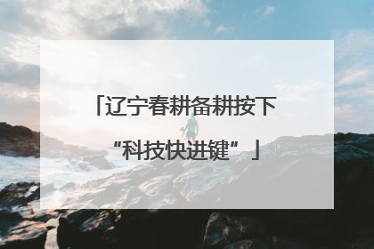 辽宁春耕备耕按下“科技快进键”