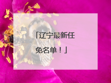 辽宁最新任免名单！