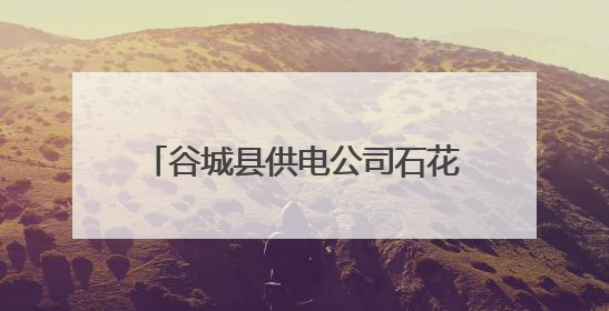 谷城县供电公司石花供电所电力科普进校园安全“童”行护成长