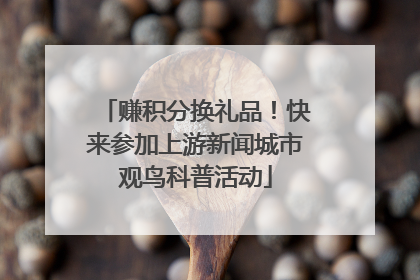 赚积分换礼品！快来参加上游新闻城市观鸟科普活动