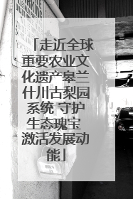 走近全球重要农业文化遗产皋兰什川古梨园系统 守护生态瑰宝 激活发展动能