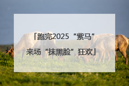 跑完2025“紫马” 来场“抹黑脸”狂欢