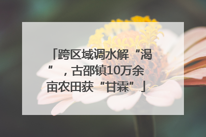 跨区域调水解“渴”，古邵镇10万余亩农田获“甘霖”