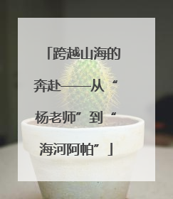 跨越山海的奔赴——从“杨老师”到“海河阿帕”