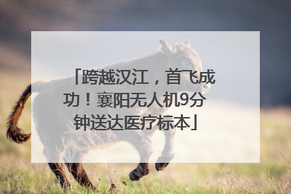 跨越汉江，首飞成功！襄阳无人机9分钟送达医疗标本
