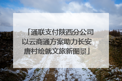 通联支付陕西分公司以云商通方案助力长安唐村绘就文旅新图景