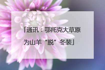 通讯：鄂托克大草原为山羊“脱”冬装