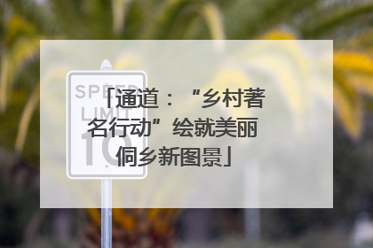 通道：“乡村著名行动”绘就美丽侗乡新图景